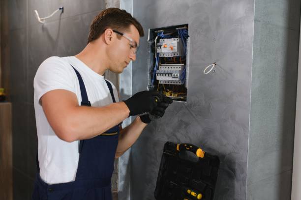 Best Electric Panel Repair  in Rock Port, MO